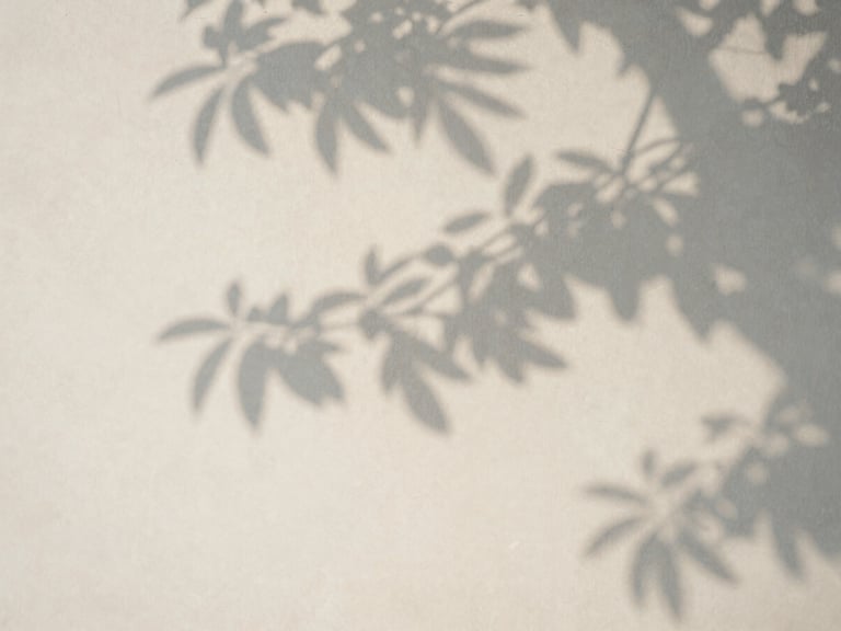 A soft shadow of a tree branch with delicate leaves cast on a textured off-white wall, creating a peaceful and serene atmosphere.