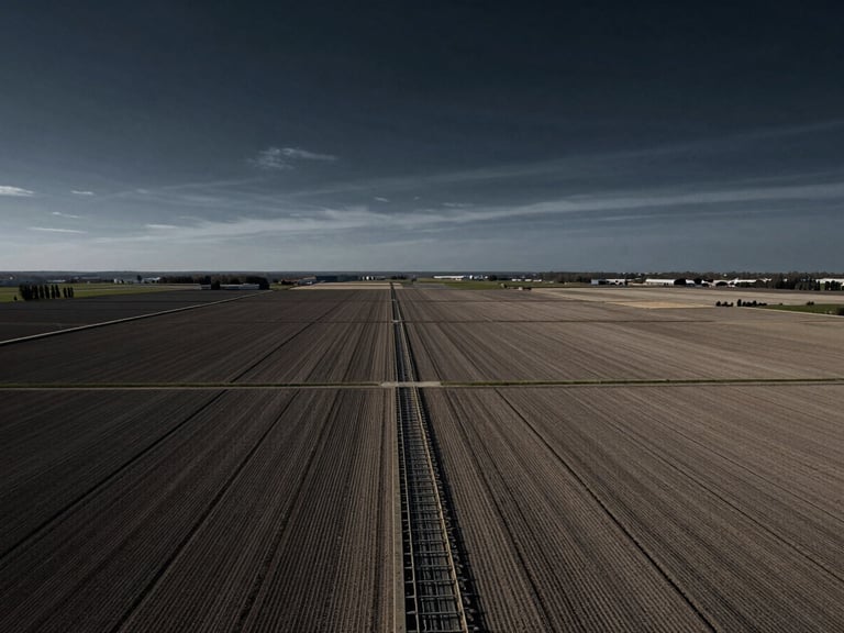 High-angle view of vast, structured agricultural fields with geometric irrigation channels under a dramatic, high-contrast sky