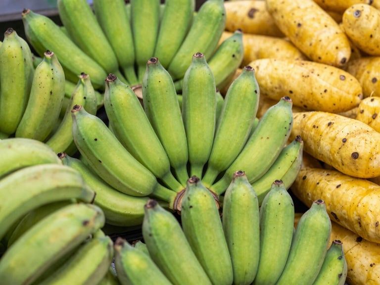 Close-up of a neatly arranged pile of fresh, vibrant green plantains and yellow yams, warm natural daylight, rich saturated colors, shallow depth of field