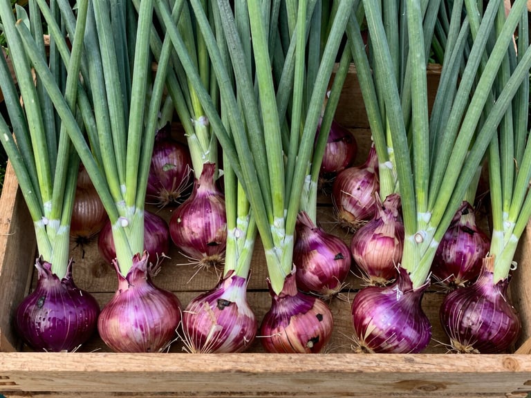 Overhead shot of vibrant purple onions in a wooden crate, contrasting with green leaves, natural daylight, high detail.