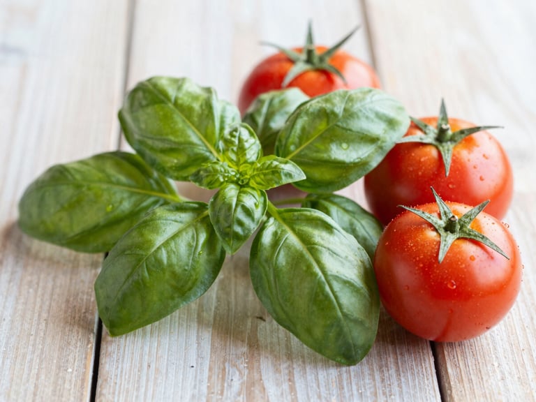 Bright editorial food photography of fresh organic vegetables on a rustic wooden table, soft morning daylight, vibrant green basil and ripe red tomatoes, shallow depth of field