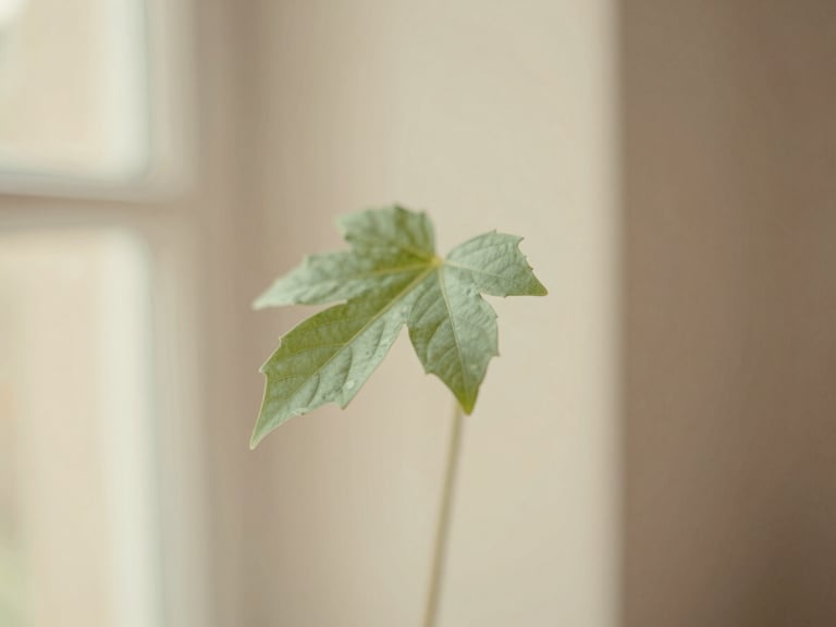 Soft focus image of a single, delicate green leaf in a muted, warm light, symbolizing growth and natural balance, warm editorial photography, soft diffused window light, muted mint and beige tones, shallow depth of field, 35mm