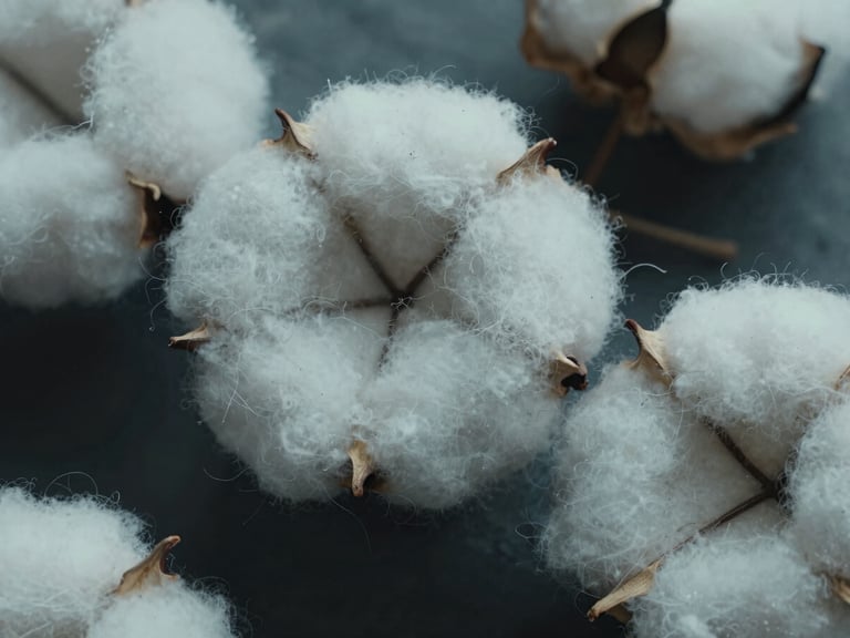 Extreme macro product detail of raw cotton fibers showing fine technical texture and grade-A specification purity, high-contrast industrial lighting, desaturated tones, 35mm lens