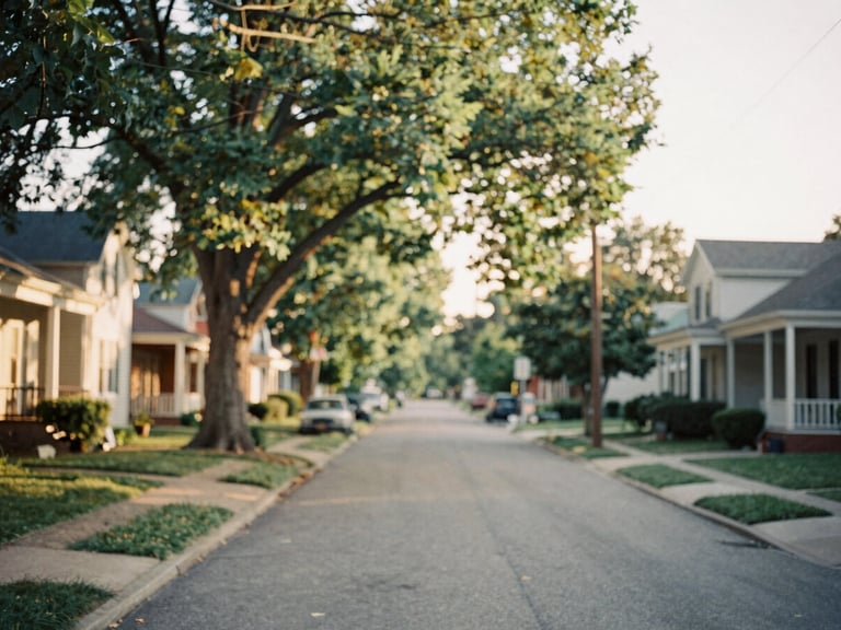 A quiet tree-lined street in a historic Southwest Ohio neighborhood during golden hour, soft focus, warm editorial look, 35mm film.