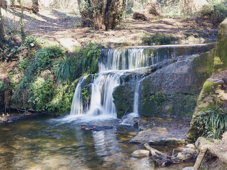 Una pequeña cascada en un arroyo de montaña.