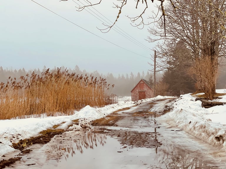 Alone - Photograph by Lynn Ellis