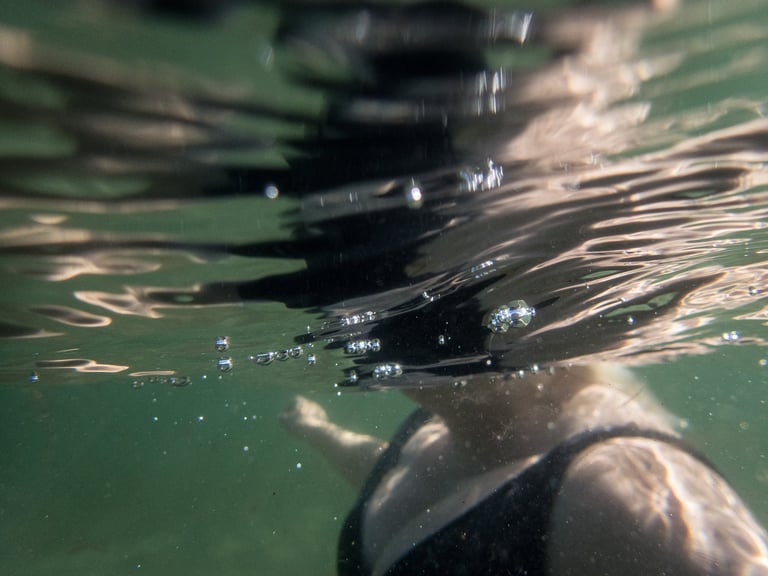 Submurged - Photograph by Lynn Ellis
