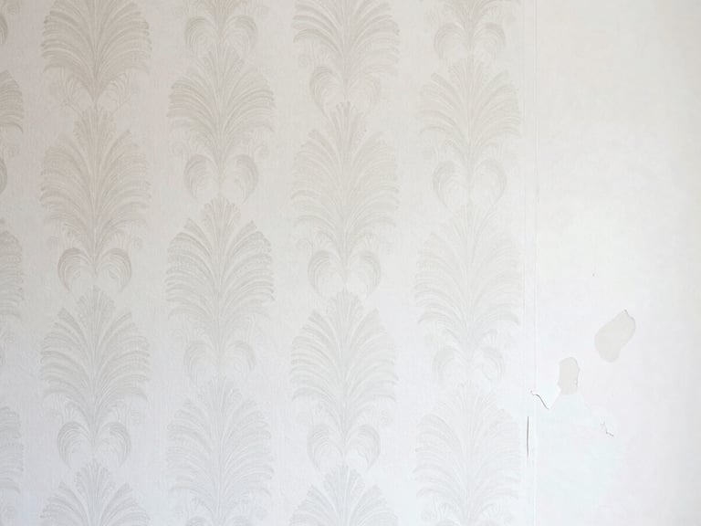 A decorative accent wall, half with a modern, intricate wallpaper pattern perfectly installed, half with the old, peeling wallpaper. Bright, soft light.