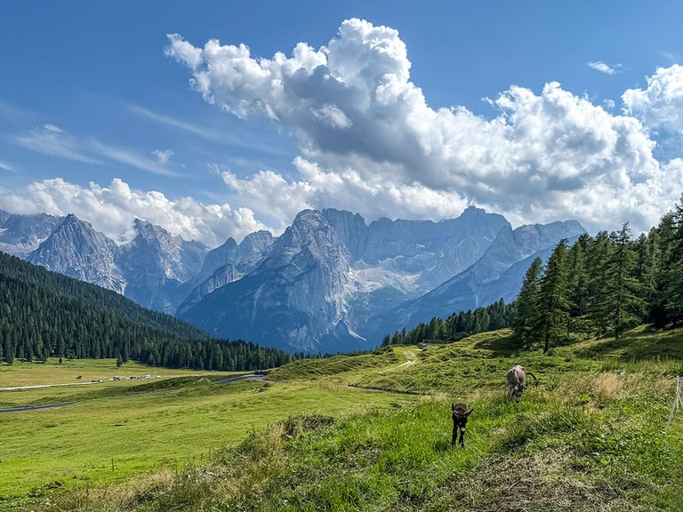 vista sulle Dolomiti - Cadini di Misurina