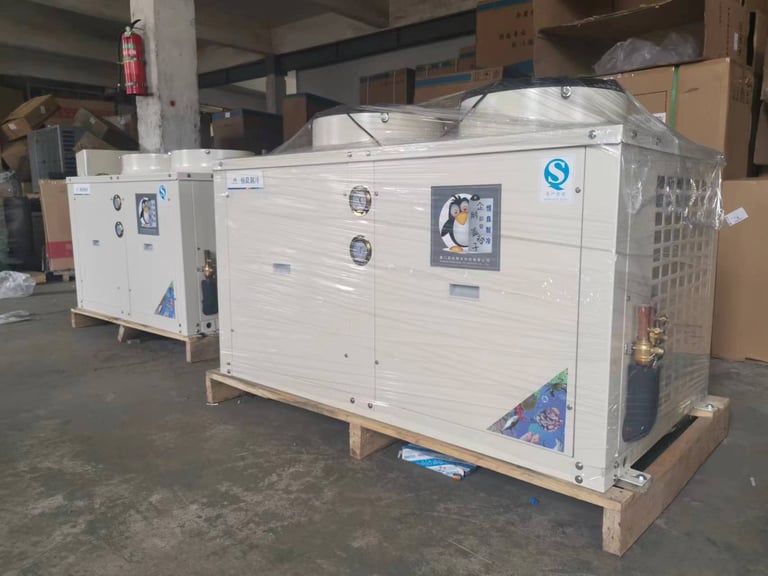Refrigeration Systems for Cold Freezer Room