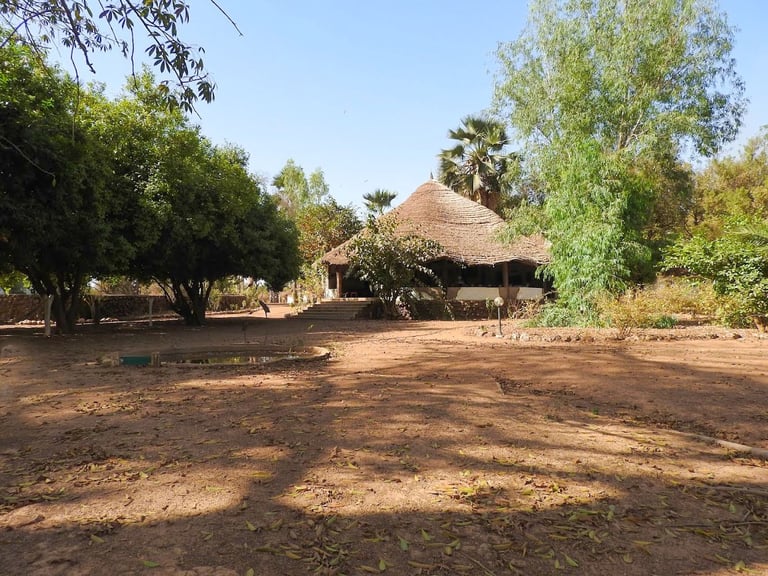 A serene eco-lodge nestled in the lush greenery of Campement de Wassadou, featuring traditional that