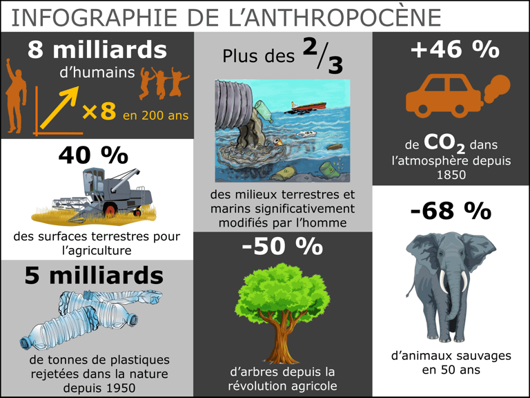 Infographie de l'anthropocène : chiffres clés sur la population, la pollution, le déclin du vivant
