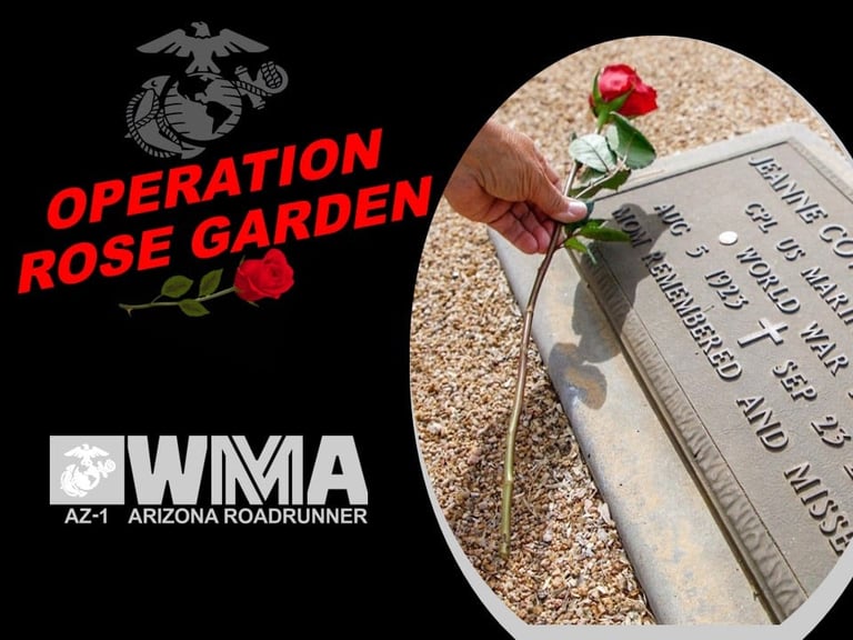 Operation Rose Garden graphic, displaying a rose being placed on the grave of a marine