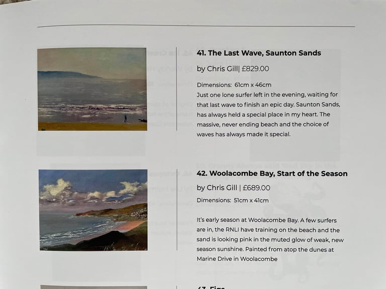 Art entry excerpt from New Atlantic Wave exhibition catalogue featuring artist Chris Gill