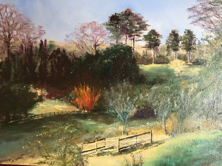 Westonbirt Arboretum, the fire dogwood