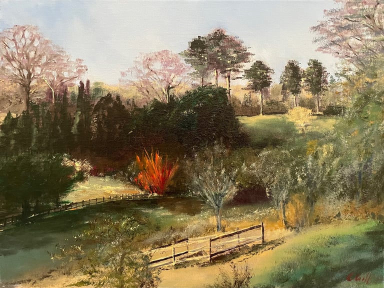 Westonbirt National Arboretum near Tetbury