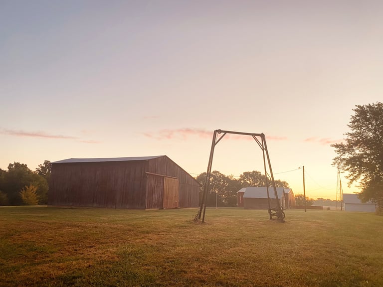 a swing - frame swing set up in front of a small barn Knoxville Illinois