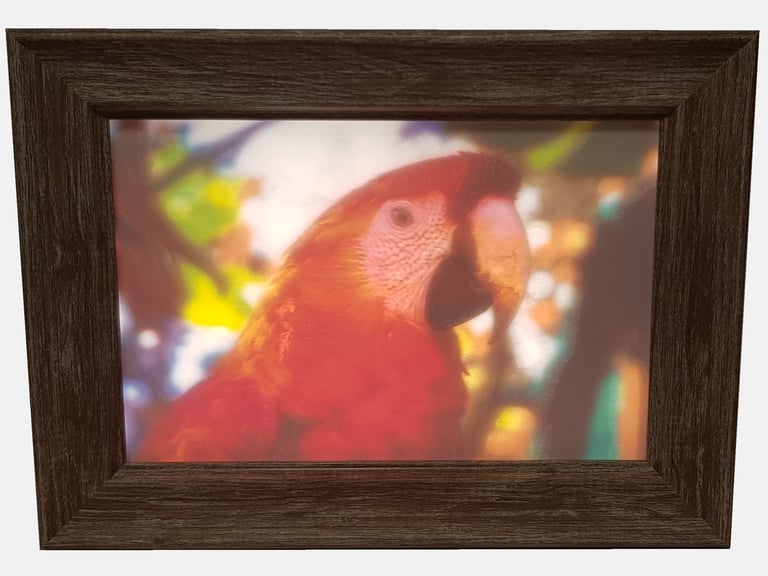 Cadre photo 3D lithophanie couleur oiseau petit format