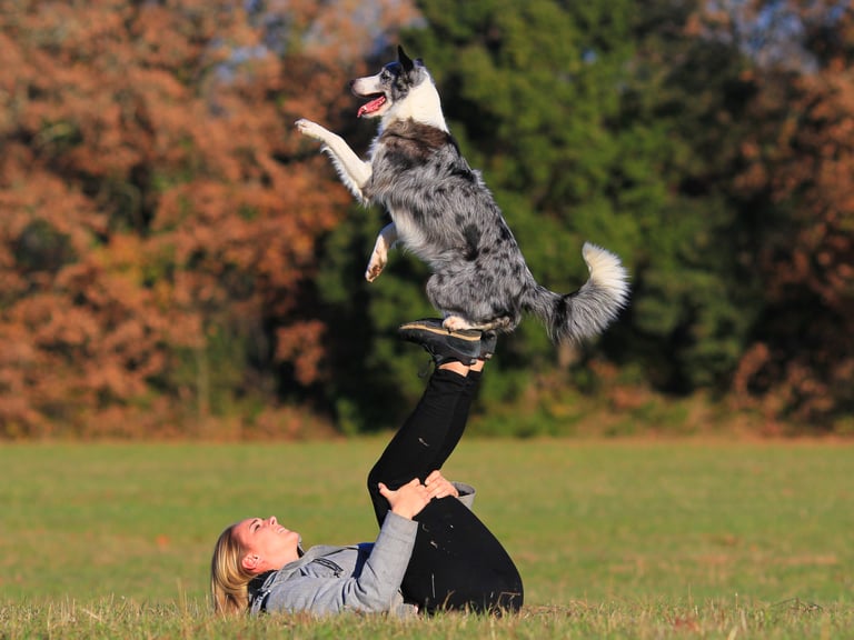 K-SCOOPS.com | Mindful Moments - Dance Pawsitively: Creating Magical Moments with Your Pet