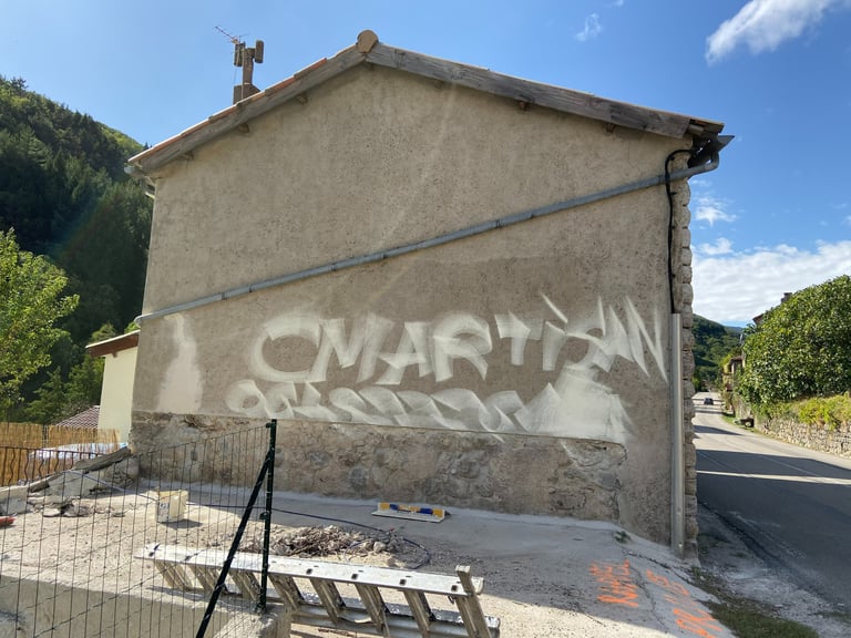 façade avant nettoyage