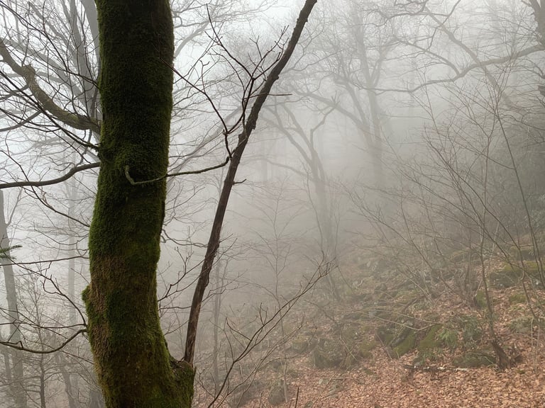 Mountainside in winter fog
