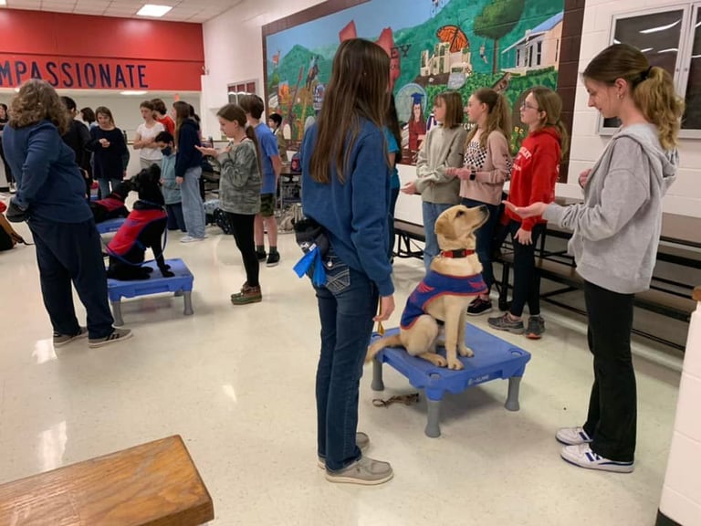 groups of students gather around dogs taking turns training them