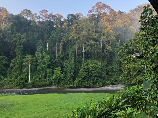 A beautiful rainforest view of Danum Valley from Borneo Rainforest Lodge