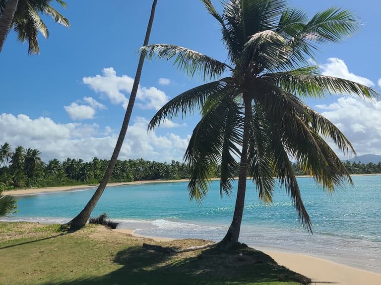 Playa Esmeralda Miches