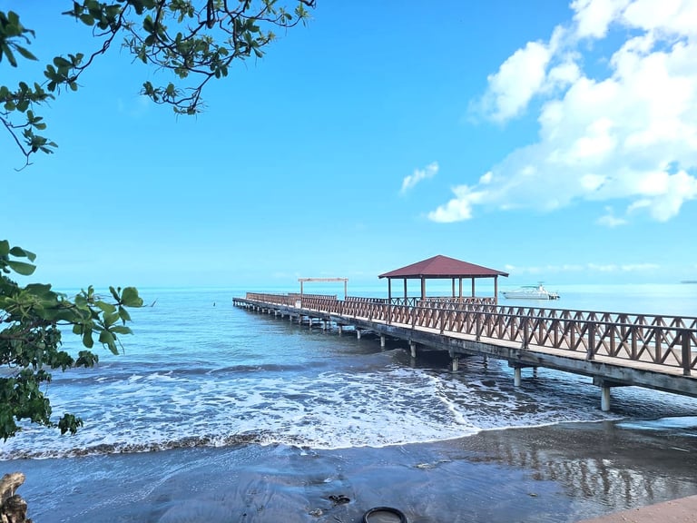 Miches Perspectivas de futuro (2026-2035)