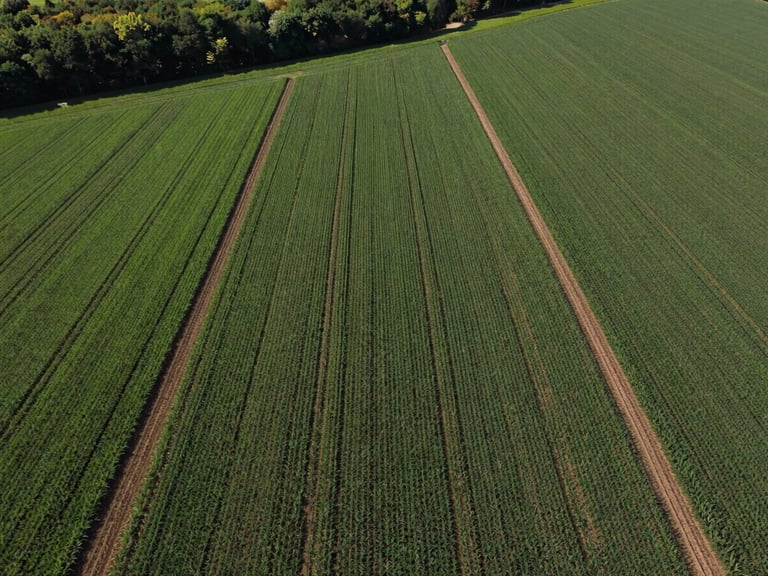 Wide-angle drone aerial view of perfectly aligned green crop fields meeting a sharp legal boundary line, deep forest green and rich soil brown tones, bright daylight.