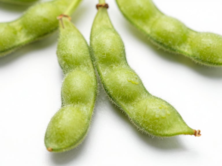 Close-up of vibrant green soybean root nodules showing healthy nitrogen-fixing bacteria colonization, sharp macro focus, bright natural field daylight