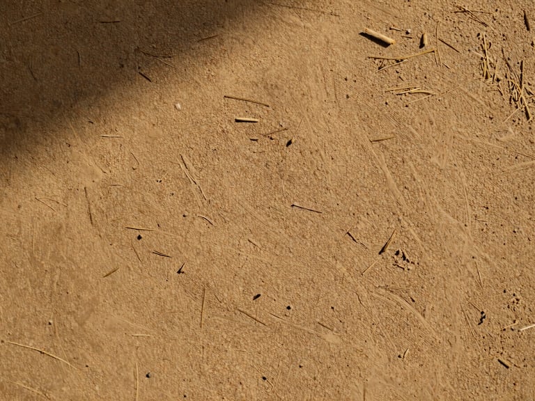 Macro close-up of a textured clay and lime plaster wall showing subtle straw fibers, warm natural sunlight raking across the surface, tactile and organic, editorial 35mm.
