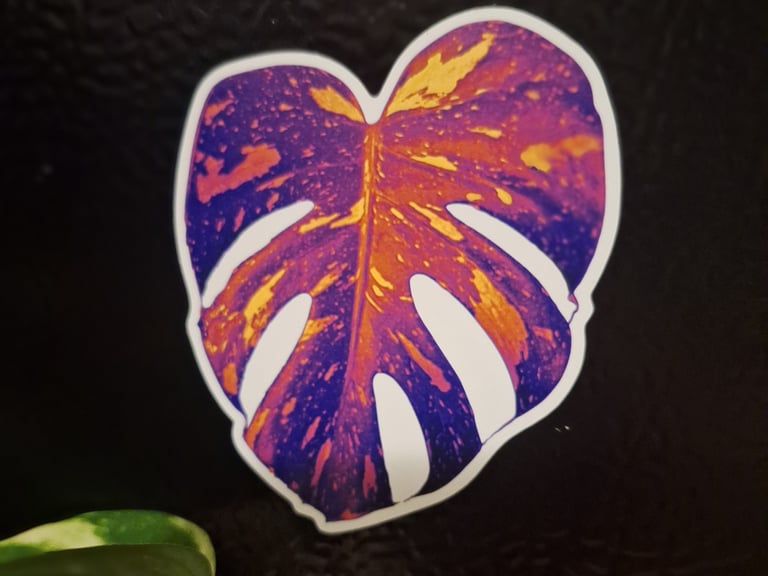 Monstera leaf magnet featuring tropical houseplant inspired design for plant lovers