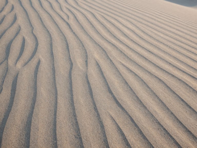 Macro photography of textured sand dunes at golden hour, soft natural light, minimalist abstract patterns, medium format film, muted neutral tones