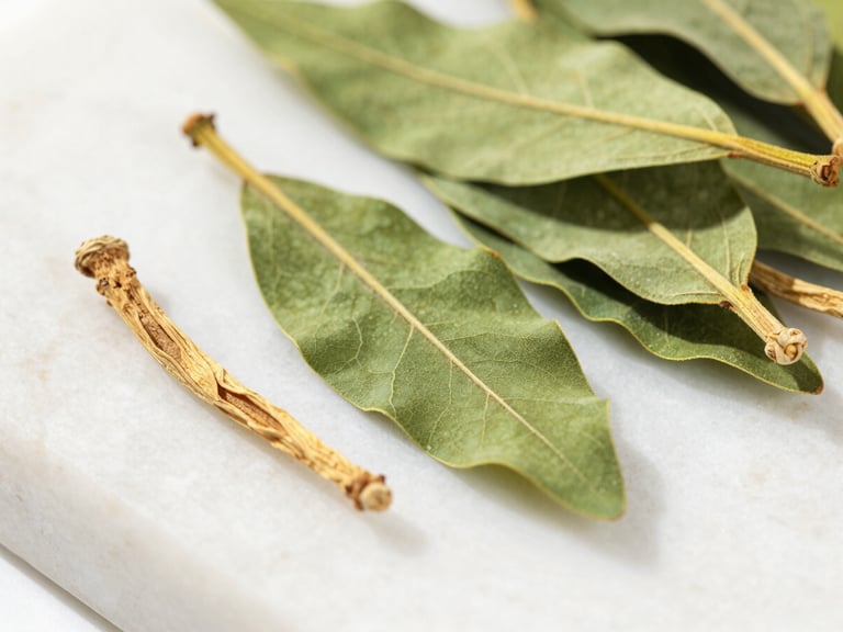 Macro close-up of dried green Moringa leaves and clean Ashwagandha roots arranged on a polished white stone surface, bright natural daylight, sharp focus.