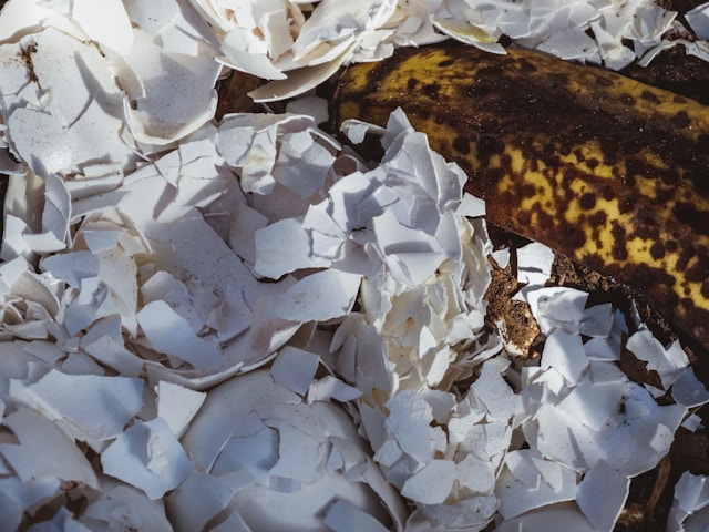 two compost ingredients