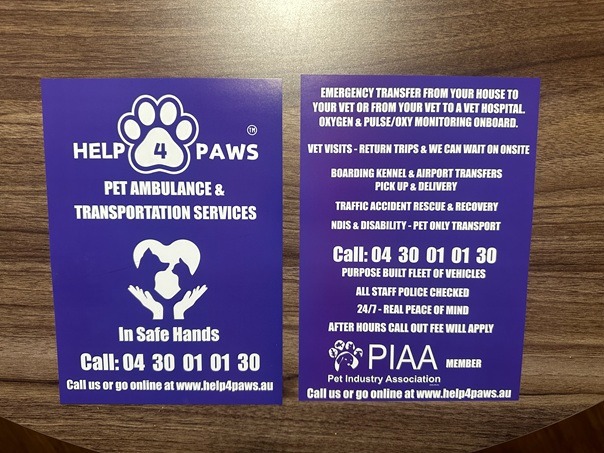 Flyers Included