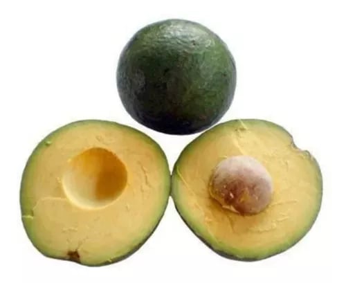 Abacate geada e breda