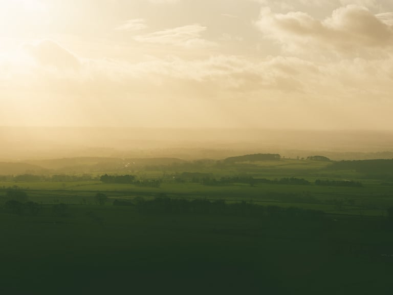 Sunlight lighting up green country fields
