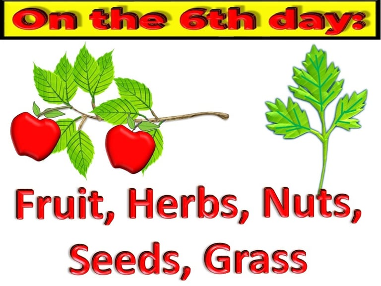 Fruit, Herbs, Nuts, Seeds, Grass on the 6th day designed by Debbie Dunn using PowerPoint & Paint