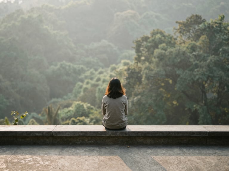 A solitary figure sitting on a smooth stone ledge overlooking a quiet misty forest valley in soft morning light, muted green and gray