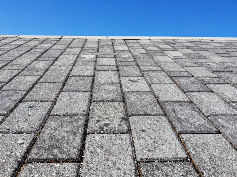 Close-up of water beading on freshly sealed pavers, vivid color, bright Florida sunlight, crisp shadows, vivid blue sky, crisp commercial outdoor photography, sharp focus, high-contrast, 35mm