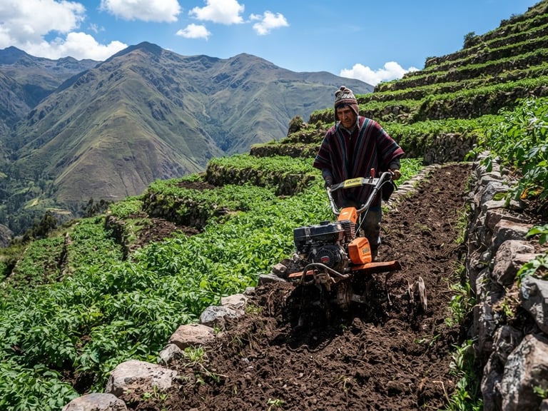 Professional motor cultivator on a steep terraced Andean potato farm, bright highland daylight, high contrast, sharp commercial photography.