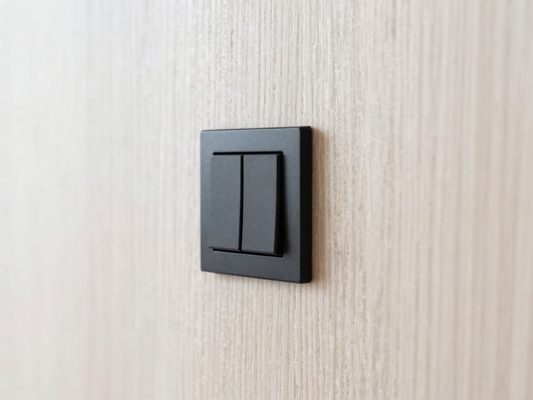 Bright architectural photography, close-up shot of a minimalist matte black light switch on light oak wood paneling, soft natural daylight, 35mm