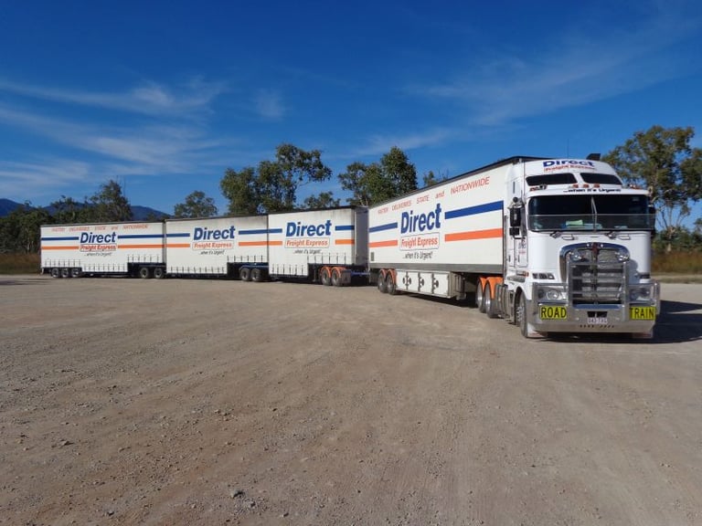 Direct Freight Express compliance manager testimonial for Safee EWD