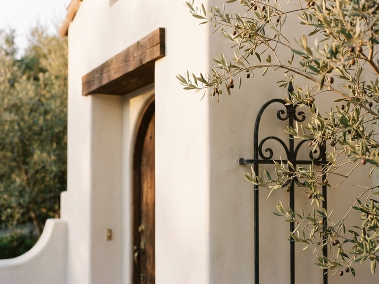 An elegant, sun-drenched architectural detail of a modern Spanish-revival home in Los Gatos, focusing on clean stucco lines and olive branches in golden-hour light