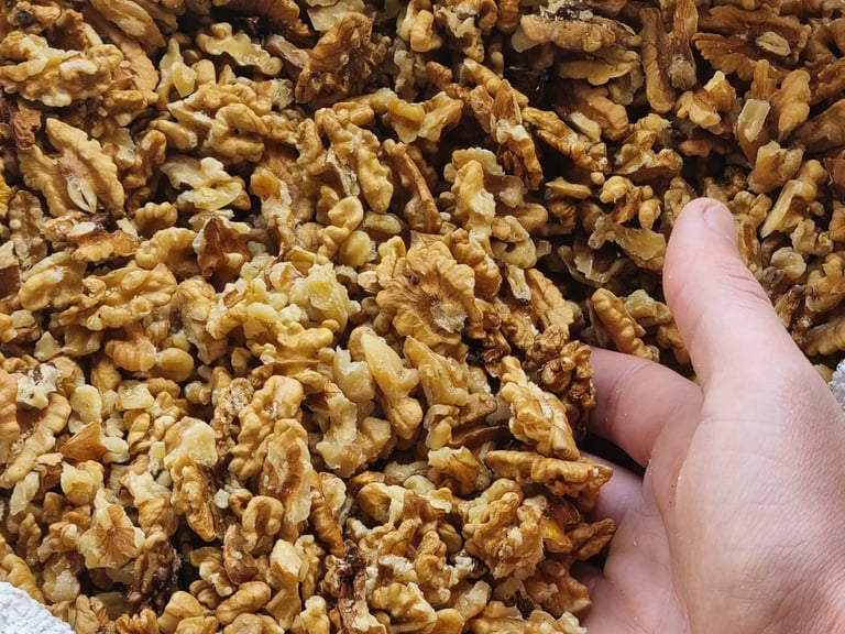 Cerneaux de noix du périgord