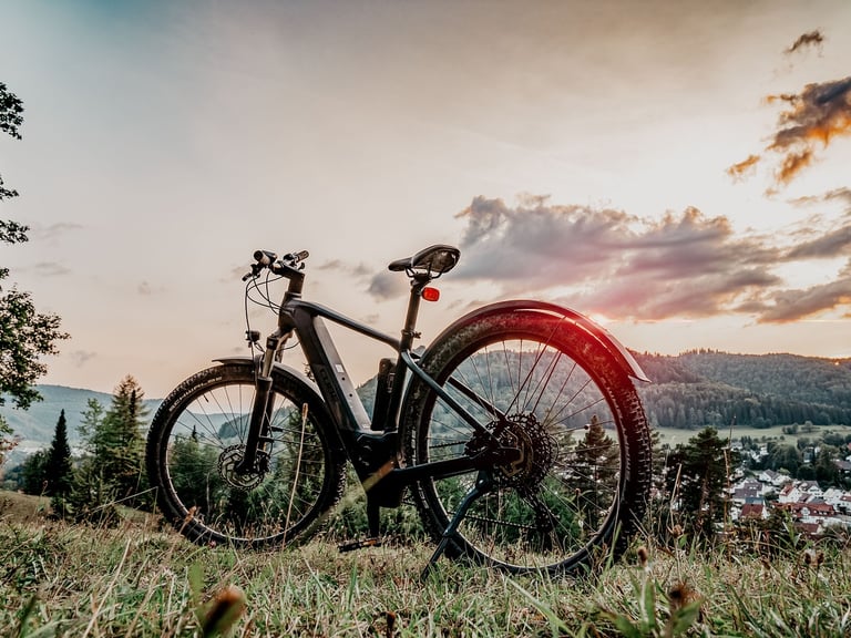 Abgestelltes E-Bike vor Naturkulisse