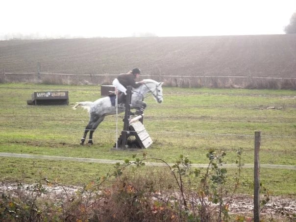 concours cross poney cso obstacle