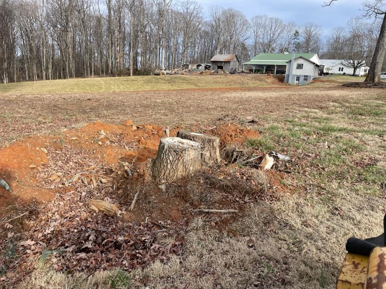 Stump before the grinding started. Now you see it - 